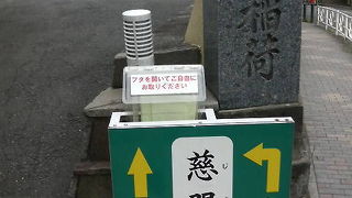 「文京朝顔ほおずき市」で賑やかでした