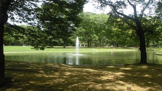 噴水と緑がきれいな公園