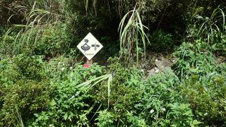 九&#20221;とセットで！