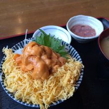 うろこ亭 ウニ丼