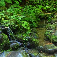 杜々の森名水公園