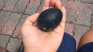 5個から 黒たまご