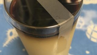 カラメルが独特なプリンを買いました。