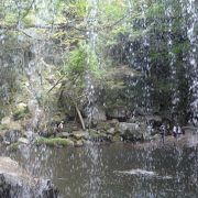 水のベールの中から景色を愛でる