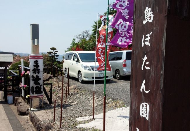 ちょっと終わりかけだったけど綺麗でした