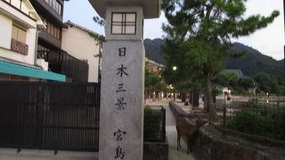 野生の鹿がいました