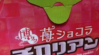 限定チロリアン