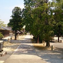 広くて空いていました。大満足！