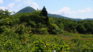 貴重な湿原だけど