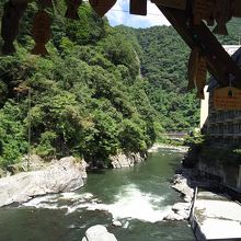 橋からの景色