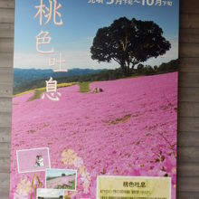 8月30日（台風）