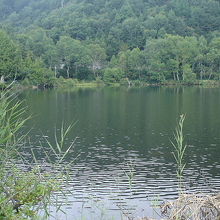 木戸池の風景です。