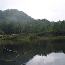 木戸池の風景です。 