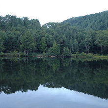 木戸池の風景です。 