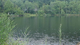 自然遊歩道での散歩が気持ち良い。