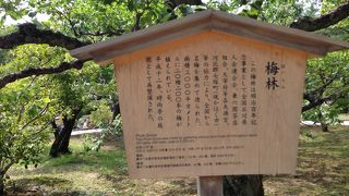 シーズン中にぜひ見たいもの