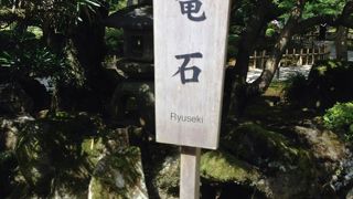 確かにドラゴン