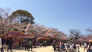 桜の時期に