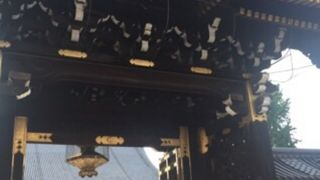 重厚かつ煌びやかな門