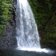 気軽に眺められる