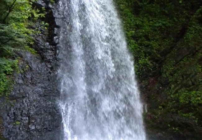 気軽に眺められる