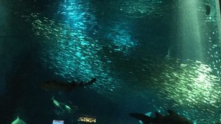 夜は暗くて幻想的