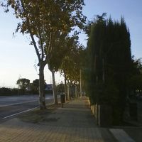 ホテル前から市内へ行く市バス２１番のバス停