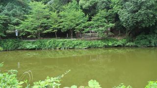 ひっそりとした池