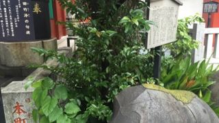 俳人、政治家、弁護士…