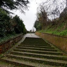 はずれの道を登っていく感じ