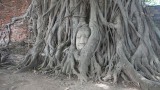 木に囲まれた仏頭