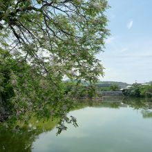 のんびりした風景