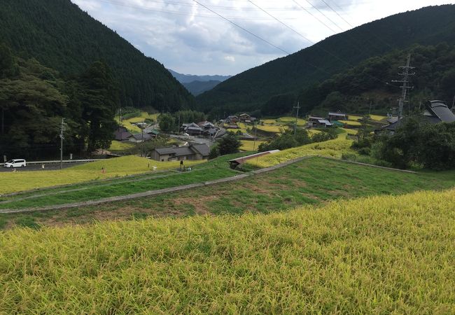 岩座神の棚田