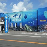 水族館としては中途半端