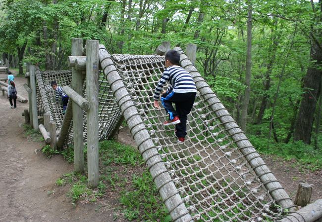 宮城県県民の森児童遊園施設 フィールドアスレチック クチコミ アクセス 営業時間 多賀城 塩釜 利府 フォートラベル
