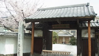 通りから見える桜がきれいです。