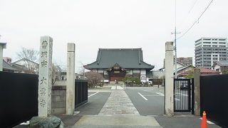 水墨雲竜の図が有名らしいです