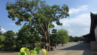 建物内は撮影禁止