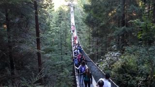 17時から20%OFFでした。