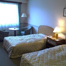 入口から見た部屋の様子。