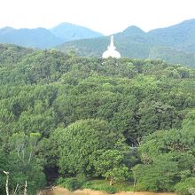 窓からの眺めは深い緑が広がり目に優しい。