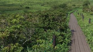 爽やかすぎる車山高原ハイキング