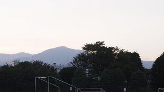 広々としています