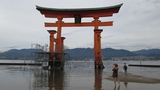 干潮時の嚴島神社 大鳥居