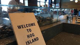 クアムチャウダーがオススメ