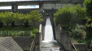 ゆっくりと自然を楽しめる小さなダム