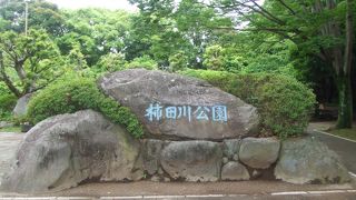 名水百選に選定された湧水