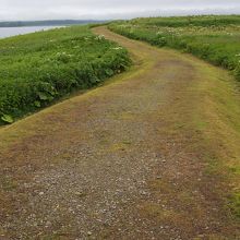 遊歩道は整備されています