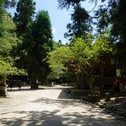 丘陵地に広がる公園