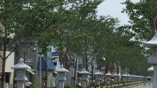 きれいになった段葛